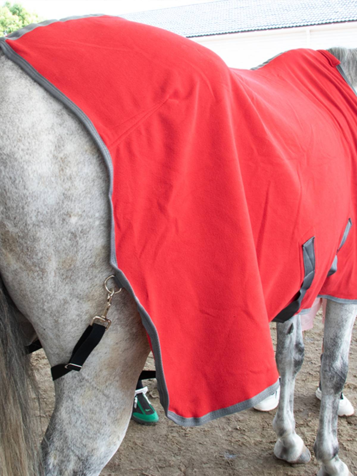 EPONA double brush cloth horse dress spring and autumn horses warm, comfortable and breathable horse supplies