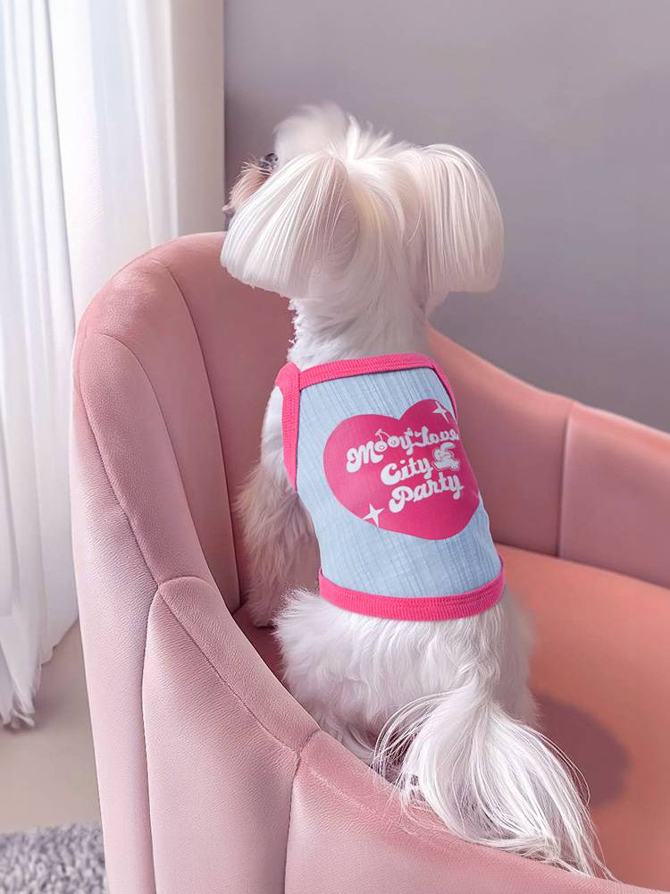 Dog clothes Summer pet anti -fossil sling vest is better than bear teddy Malzis Snowy Small bodies