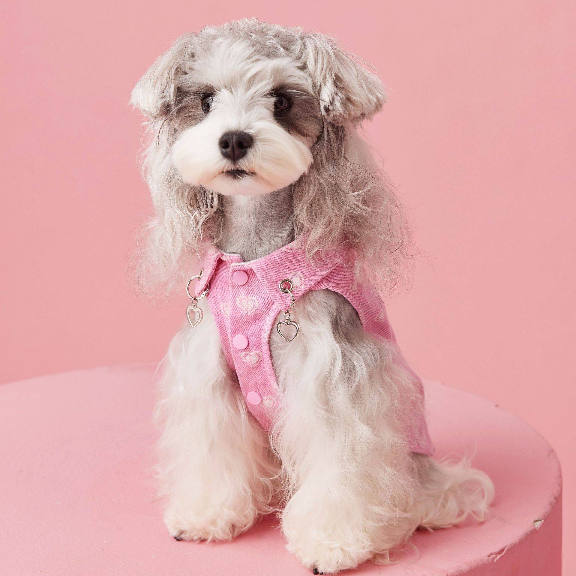 Spring and summer dogs, dog clothes, shirt vest pets, Malzis Snow, Snow, Teddy Berki Shiba Inu