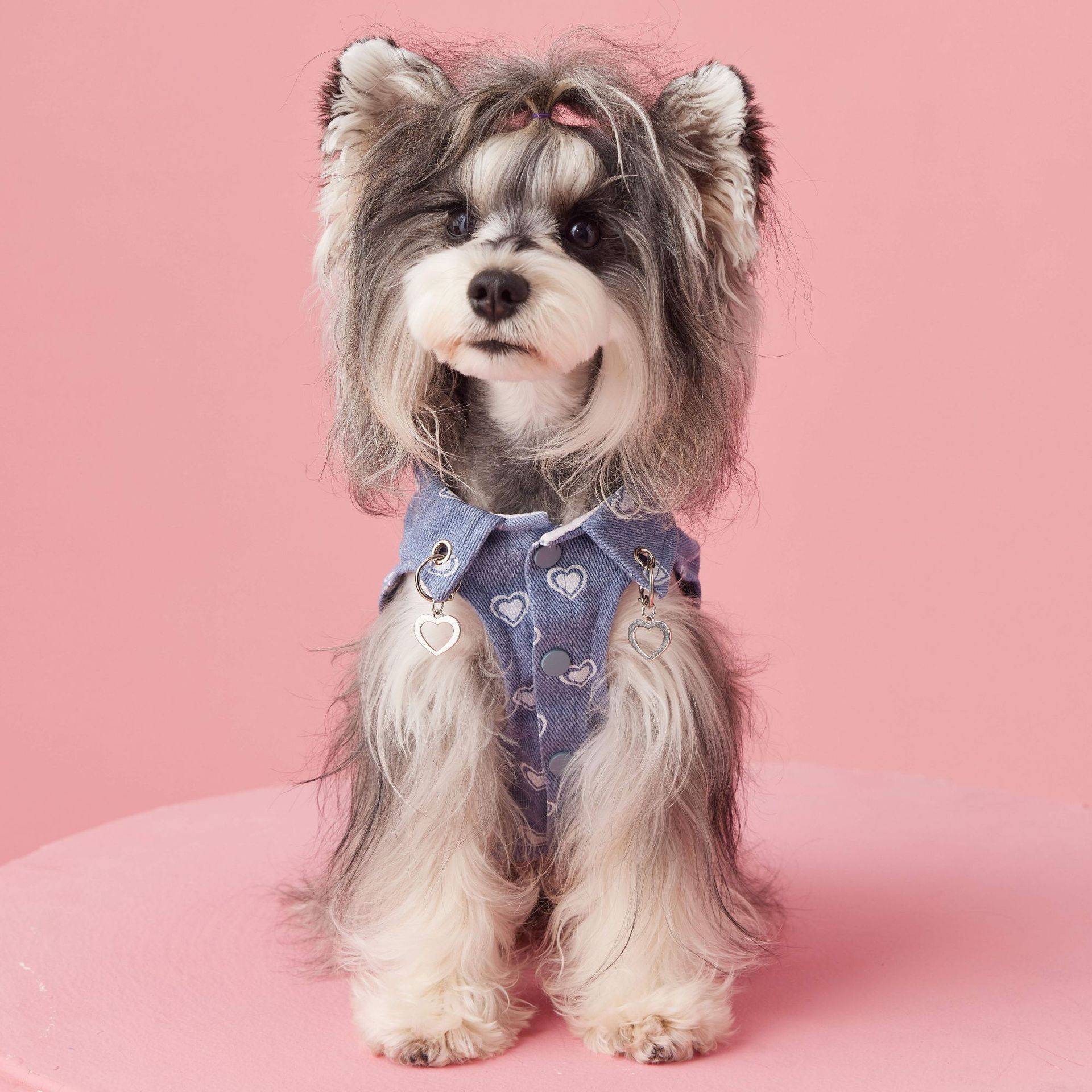 Spring and summer dogs, dog clothes, shirt vest pets, Malzis Snow, Snow, Teddy Berki Shiba Inu
