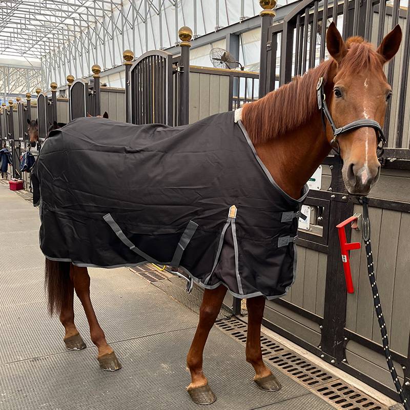 EPONA Winter Winter Waterproof Cotton Horse Cloth 300G Cold Anti -Warm and Comfortable Horse Products Equestnically