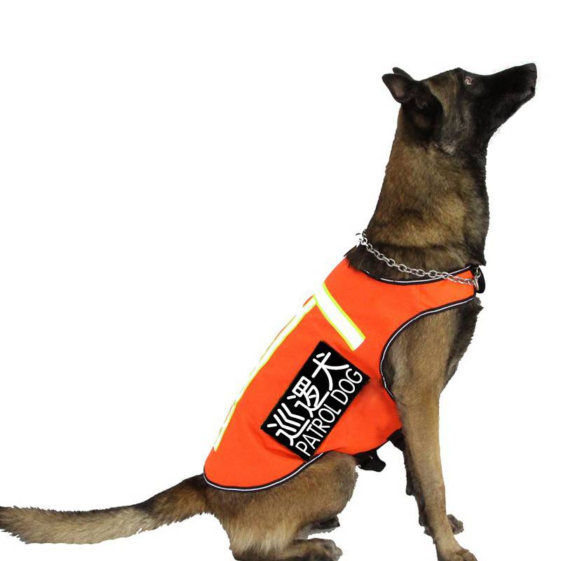 Guarding pet dogs four seasons universal dog clothing outdoor vest customized word bidding moral dog clothing horses night reflective