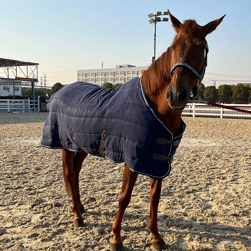 EPONA Winter Winter Waterproof Cotton Horse Cloth 300G Cold Anti -Warm and Comfortable Horse Products Equestnically