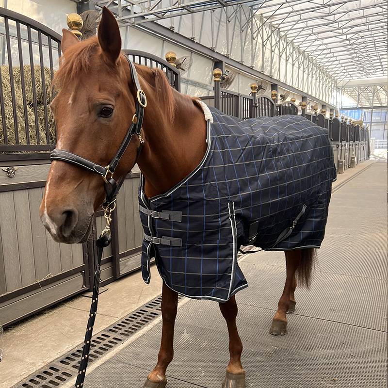 EPONA Winter Winter Waterproof Cotton Horse Cloth 300G Cold Anti -Warm and Comfortable Horse Products Equestnically