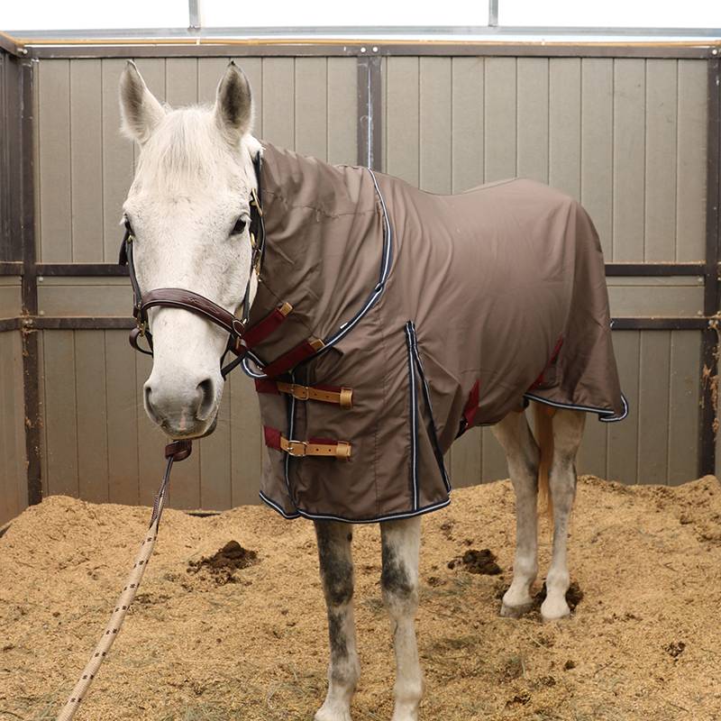 EPONA single -layer horses chamber with fence and neck breathable and comfortable horse uses clothes spring and summer horses horses products