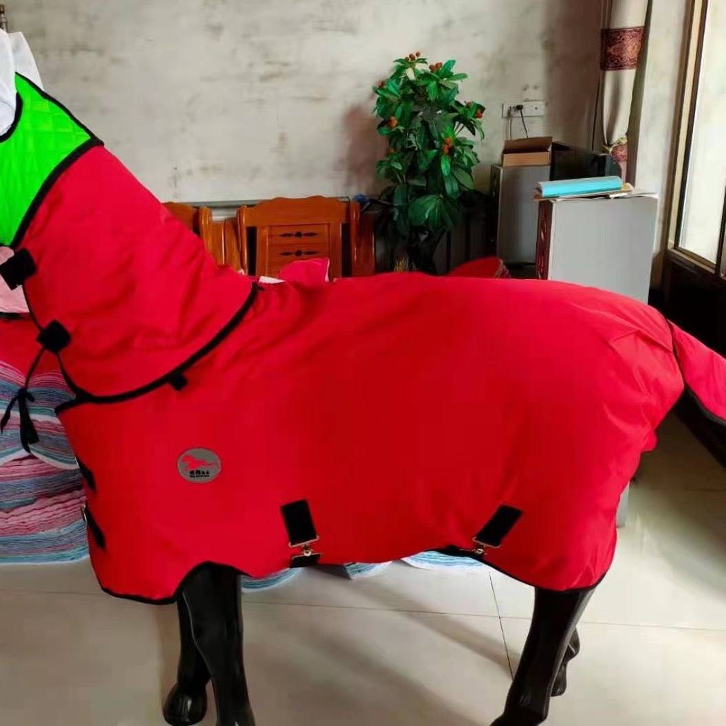 The horse is thicker in the winter, and the Shetlandga is thicker than the Strands, the Derbys, the Horses