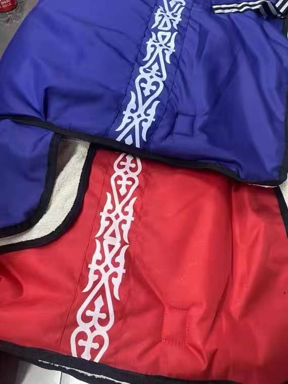 Winter thickened horses, rain, rain, cold -proof, horses, national style granular velvet clothes