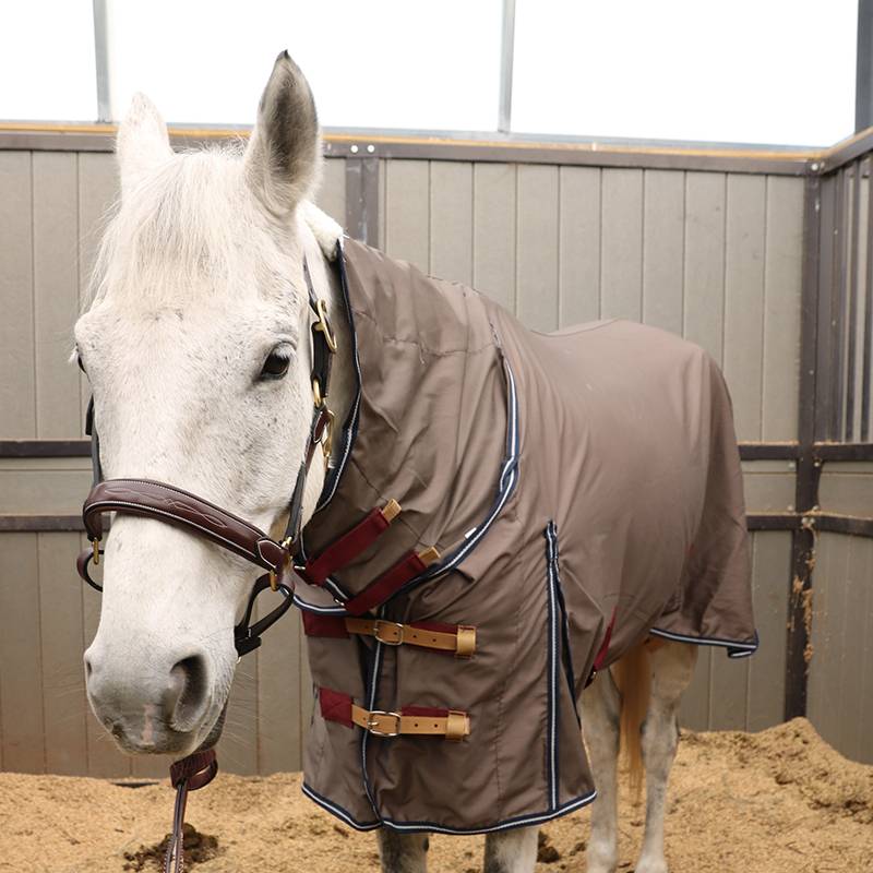 EPONA single -layer horses chamber with fence and neck breathable and comfortable horse uses clothes spring and summer horses horses products