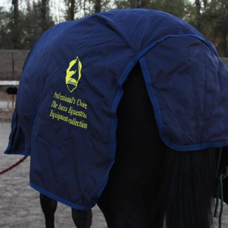 Winter waterproof and breathable thickened cotton horsema in winter horsepower thick horses, Rocky Malaysia 8216048