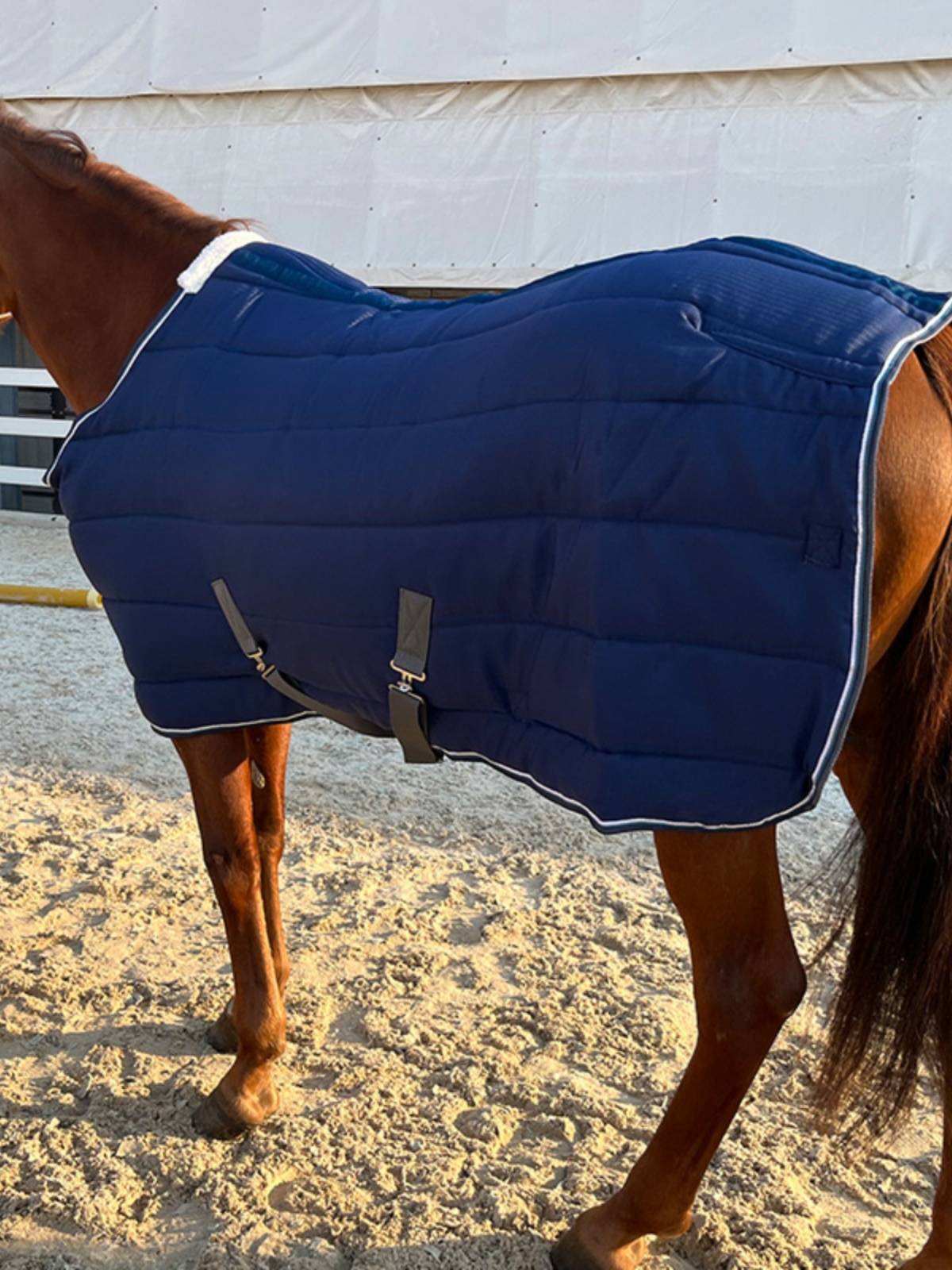 EPONA cotton horseman 300g indoor winter cold resistance, warmth, comfortable equivalent equestrian supplies horses products