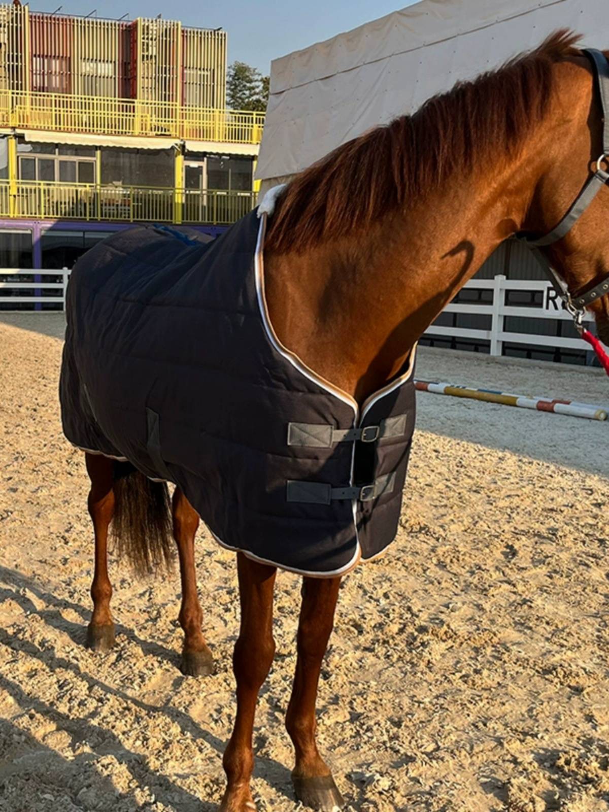EPONA cotton horseman 300g indoor winter cold resistance, warmth, comfortable equivalent equestrian supplies horses products