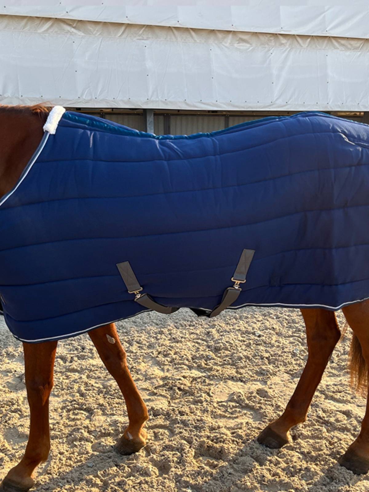 EPONA cotton horseman 300g indoor winter cold resistance, warmth, comfortable equivalent equestrian supplies horses products