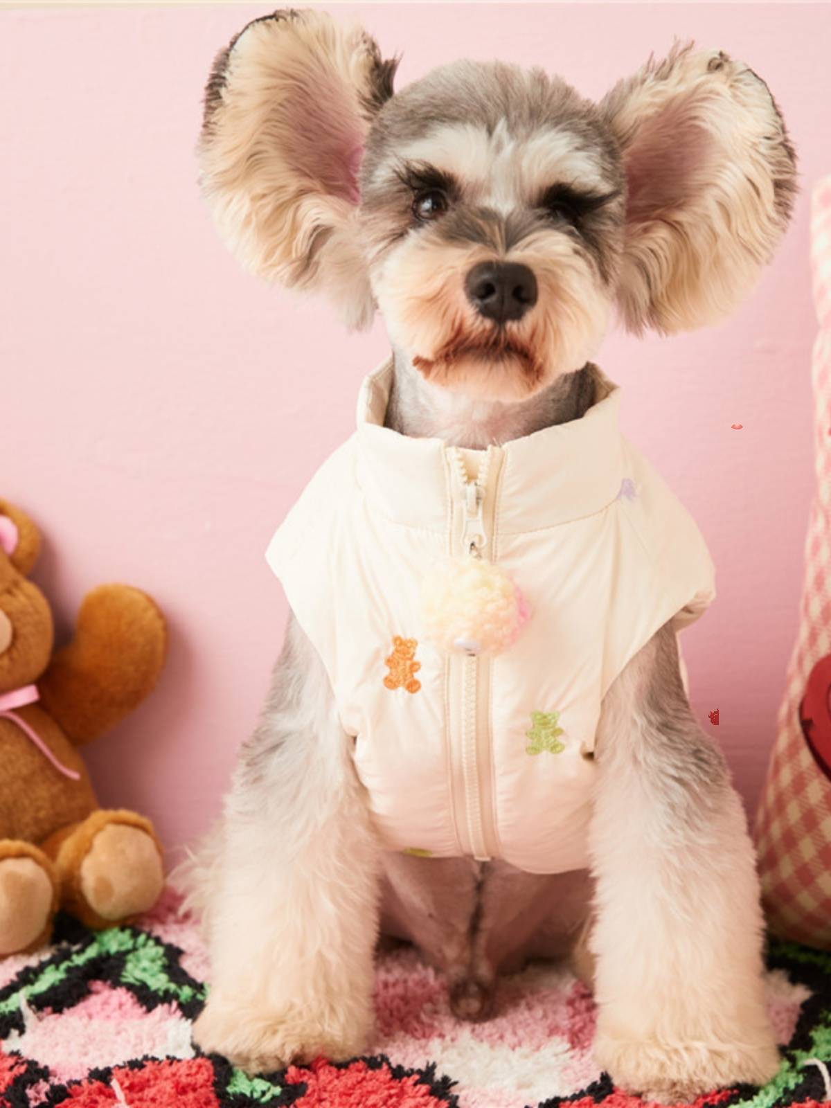 Special offer tide, pet clothes, autumn and winter, puppy dog black down vest jacket than panda sleeveless horses