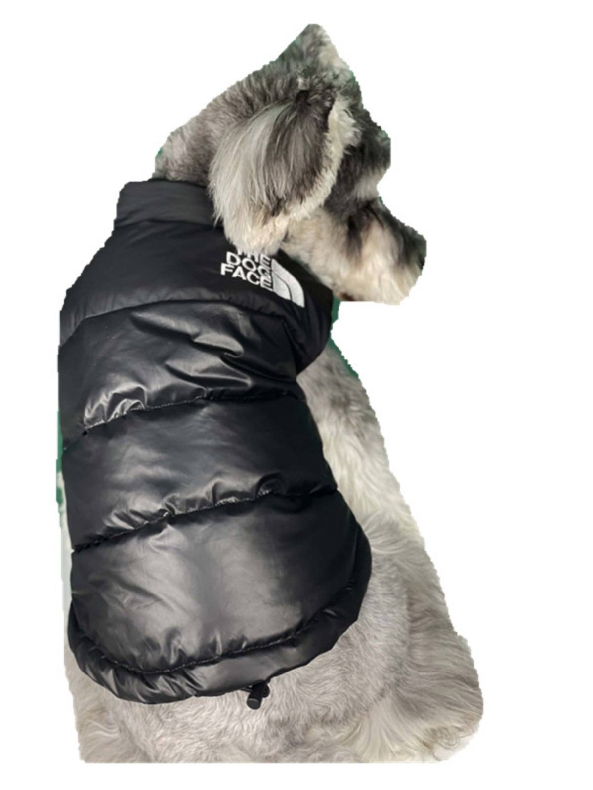 Special offer tide, pet clothes, autumn and winter, puppy dog black down vest jacket than panda sleeveless horses