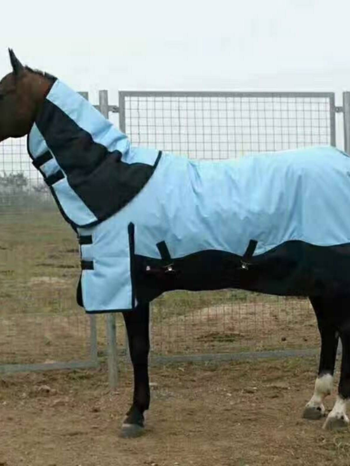 Horses, winters, cotton warms, size options
