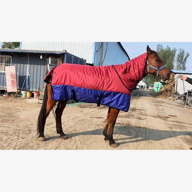 Winter horses thick horses with necks, horses horses, new cold water -proof water horsesy clothes