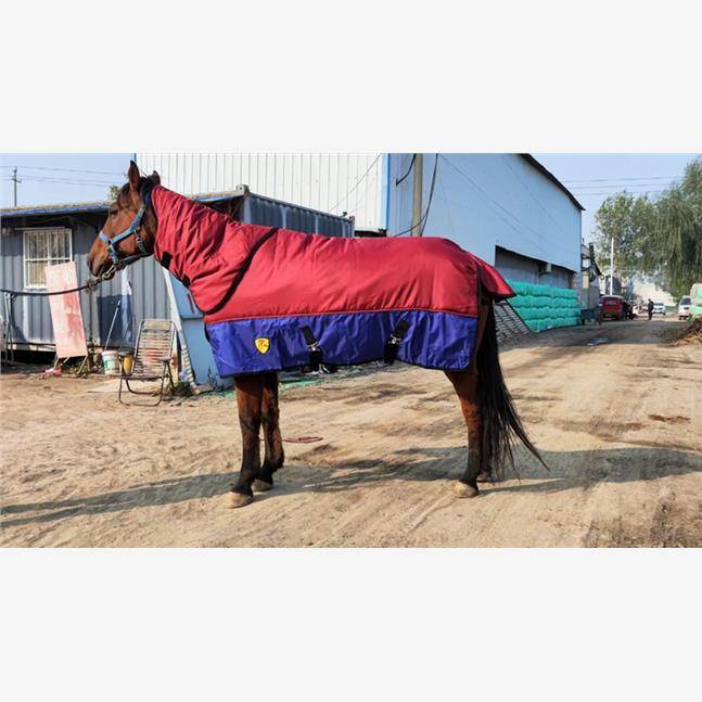 Winter horses thick horses with necks, horses horses, new cold water -proof water horsesy clothes
