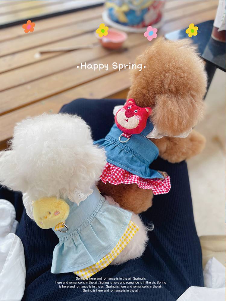 Dog skirt pet Teddy Belle Princess Skirt Spring and Autumn Puppy Malzis Clothing Tracks Summer Summer
