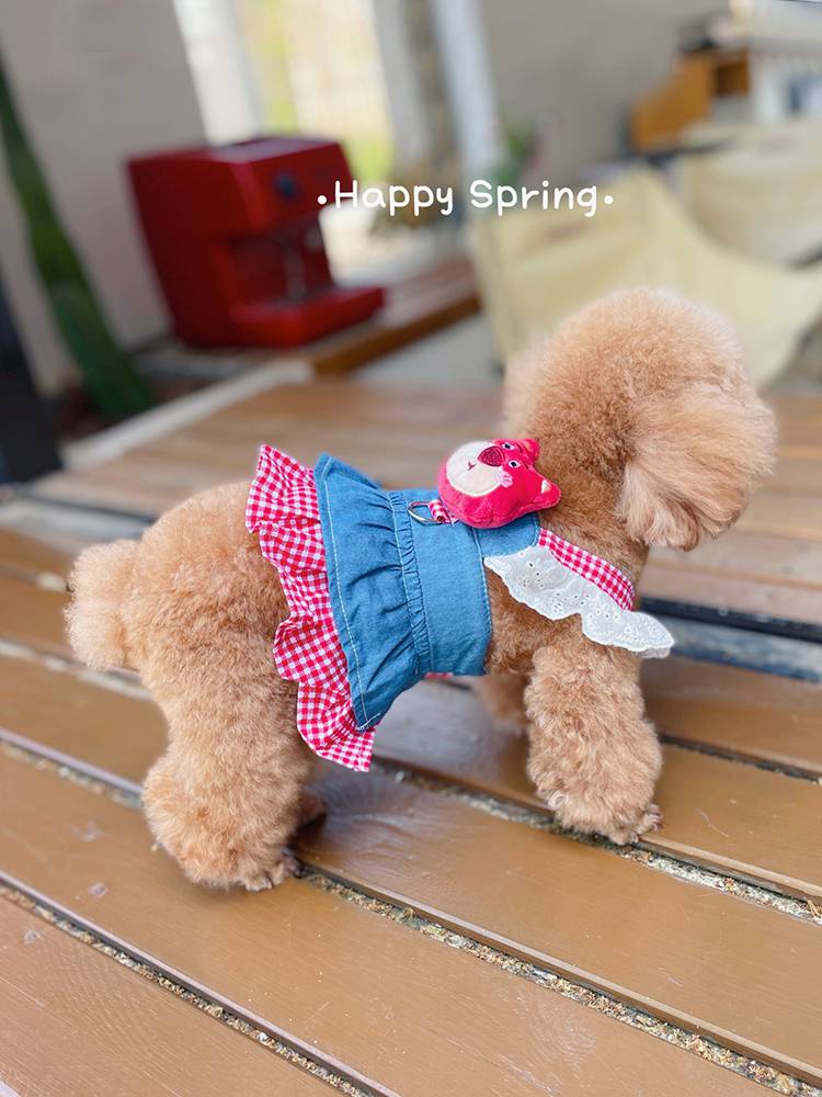 Dog skirt pet Teddy Belle Princess Skirt Spring and Autumn Puppy Malzis Clothing Tracks Summer Summer