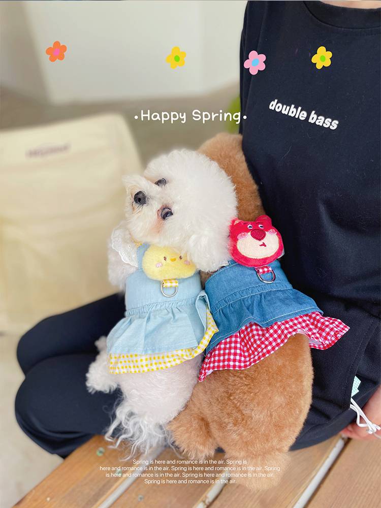 Dog skirt pet Teddy Belle Princess Skirt Spring and Autumn Puppy Malzis Clothing Tracks Summer Summer