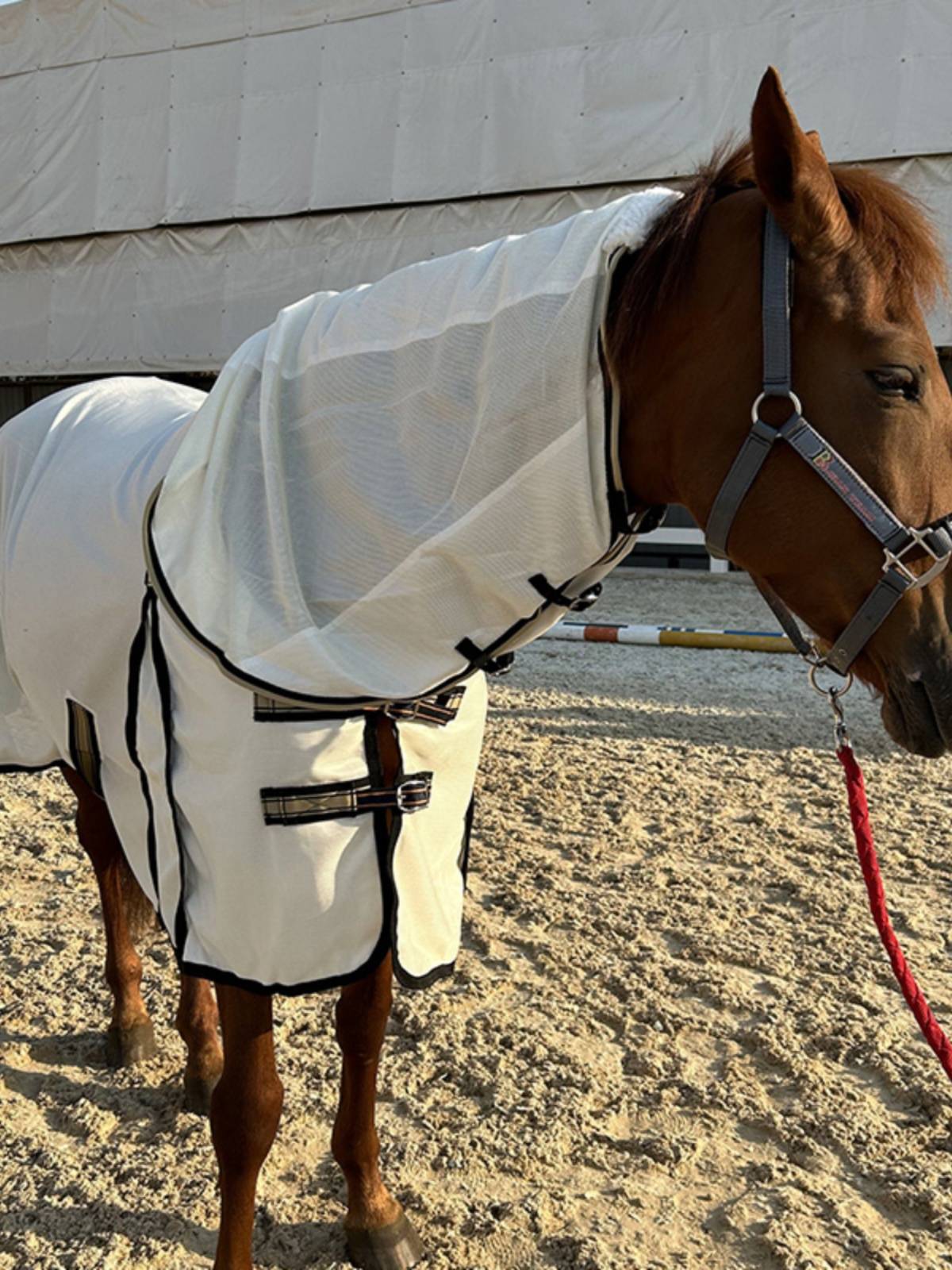 EPONA net cloth horse clothes with a fence in summer, mosquito anti -breathable, comfortable horses, equestrian sports horse products