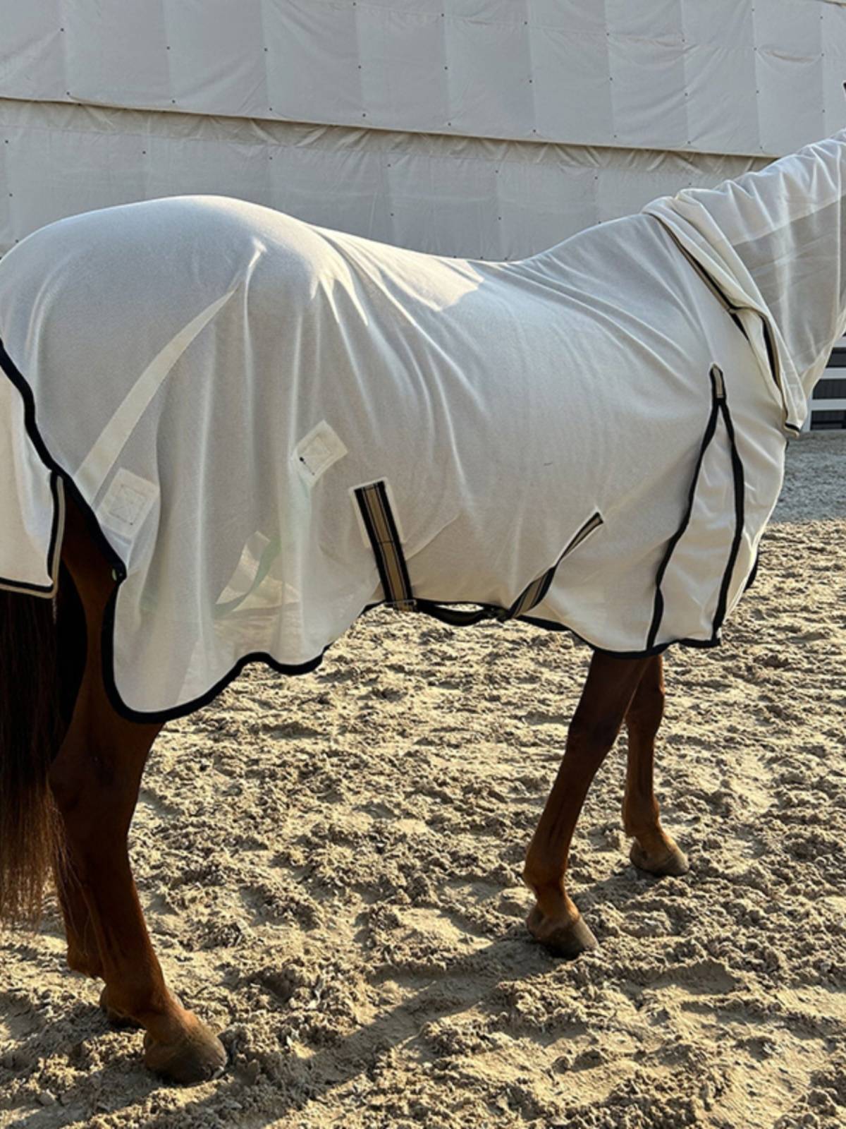 EPONA net cloth horse clothes with a fence in summer, mosquito anti -breathable, comfortable horses, equestrian sports horse products