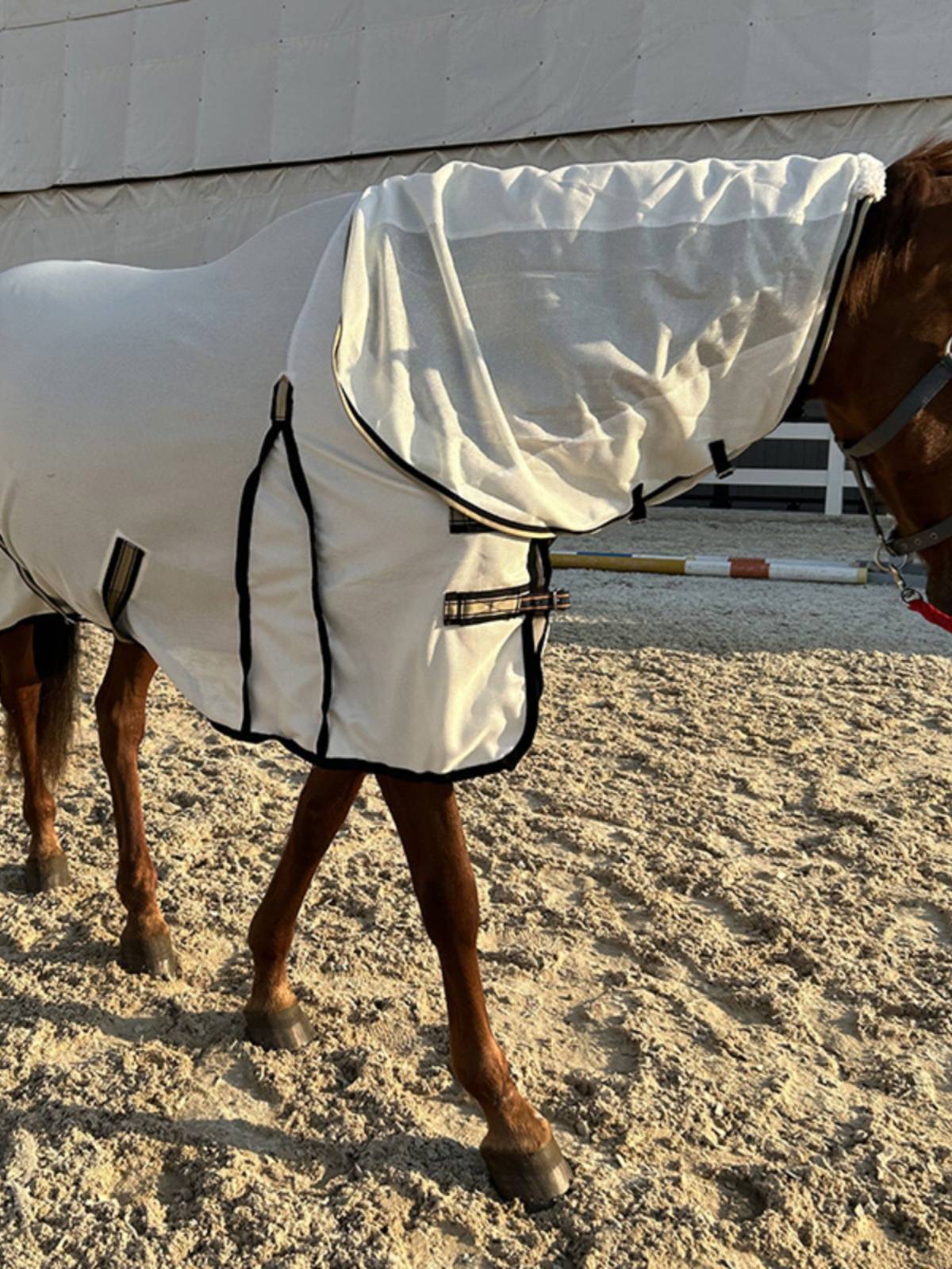 EPONA net cloth horse clothes with a fence in summer, mosquito anti -breathable, comfortable horses, equestrian sports horse products