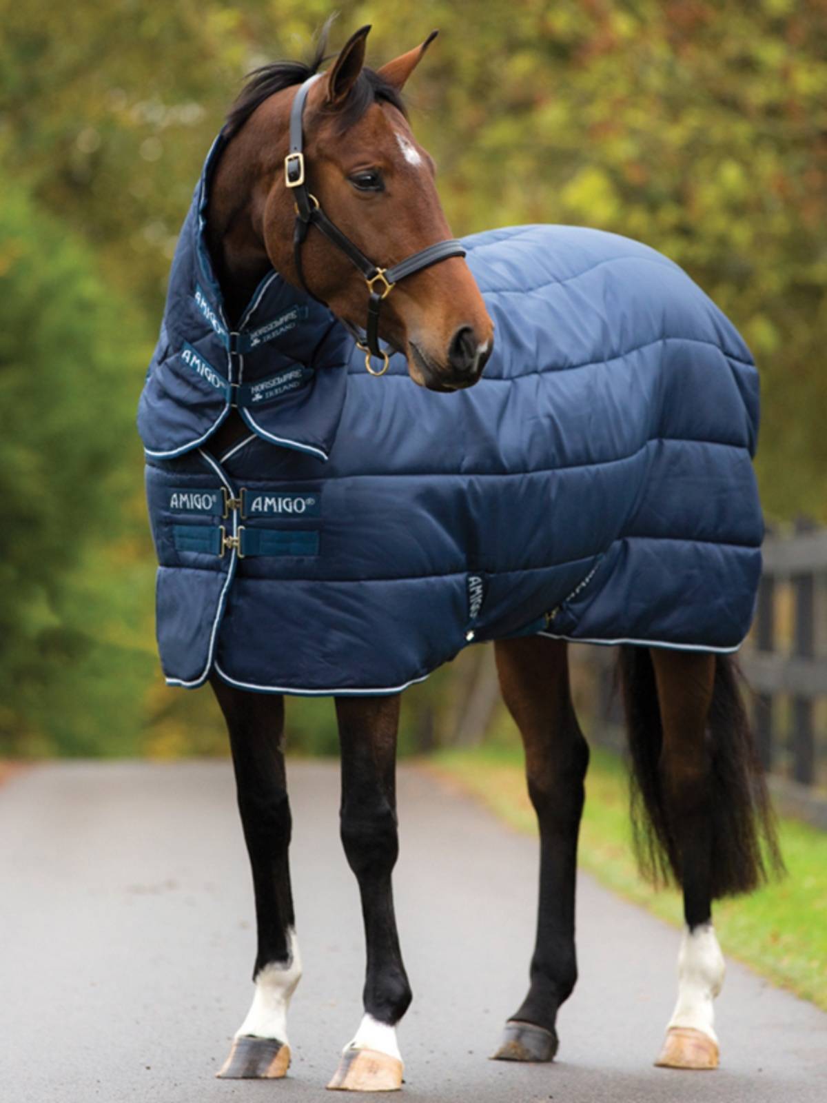 Irish Horseware-AMigo Winter Horse (Anti-Static Electricity) Rockma Malaysia 8219058