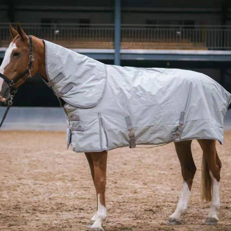 I'm going to get a horse and a short-on-frozen horse to ride in winter