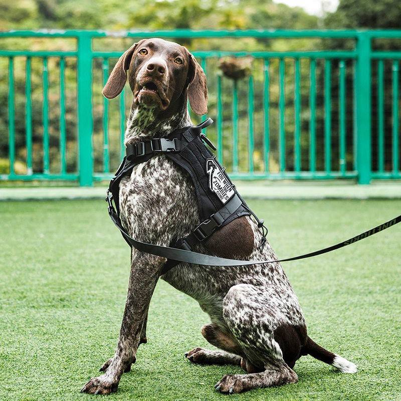 Dog Dog Tactical Vest 1000D Veter Mid -large Dog Vest -style Breit Tape -German Golden Mao Dubin clothes