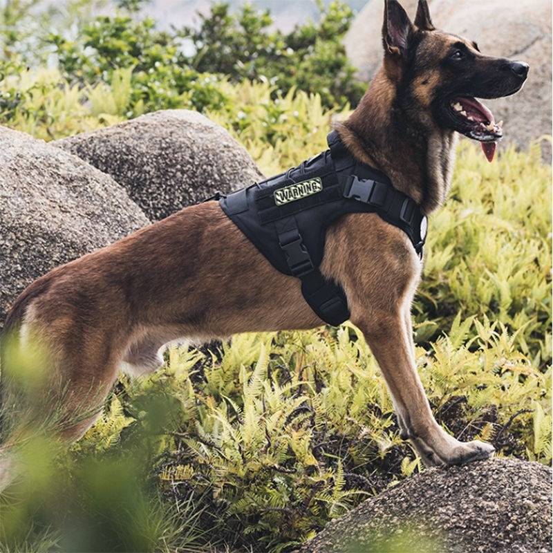Dog Dog Tactical Vest 1000D Veter Mid -large Dog Vest -style Breit Tape -German Golden Mao Dubin clothes
