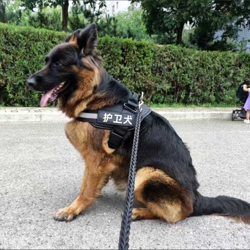 Horse dog towed ropes, guard dog to carry the vest belt out to walk the dog's large dog rope