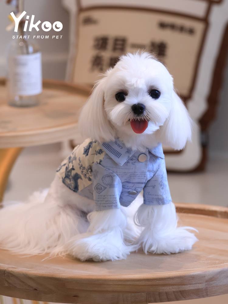 Yikoo original pet dog cat and cat clothes, male and female brothers and sisters shirt skirt Malzes Yorkia