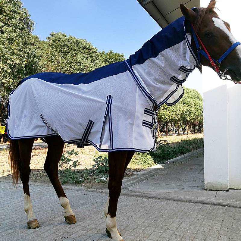 Spring and Autumn Mosquito Horse Horse Flying Fighting Horse Bad Horse Worm Reepecular Horse Horse Horse Equestrian BCL339549