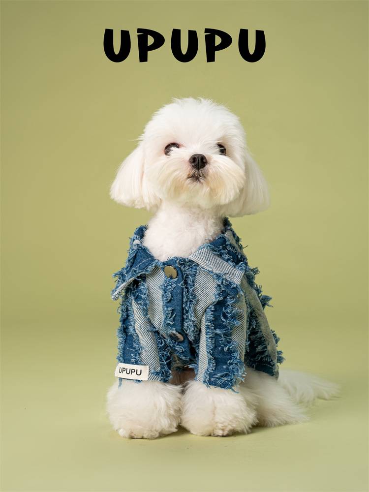 Upupu dog dumplings shirt tide pet clothes cotton soft Malzis Yorkson small and medium dog