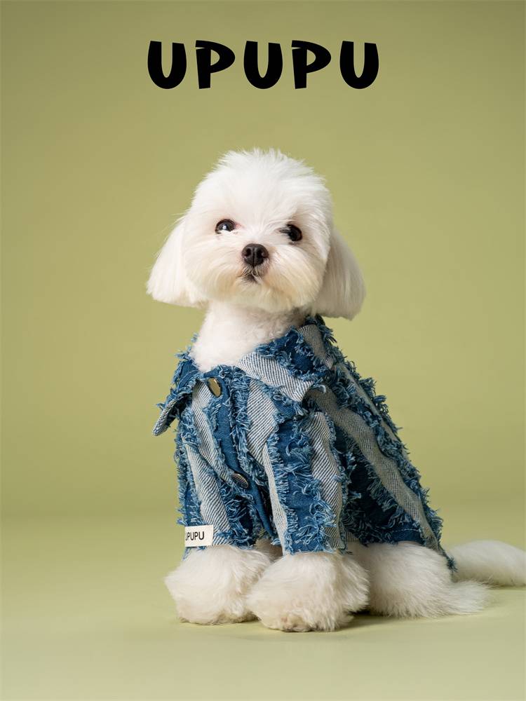 Upupu dog dumplings shirt tide pet clothes cotton soft Malzis Yorkson small and medium dog