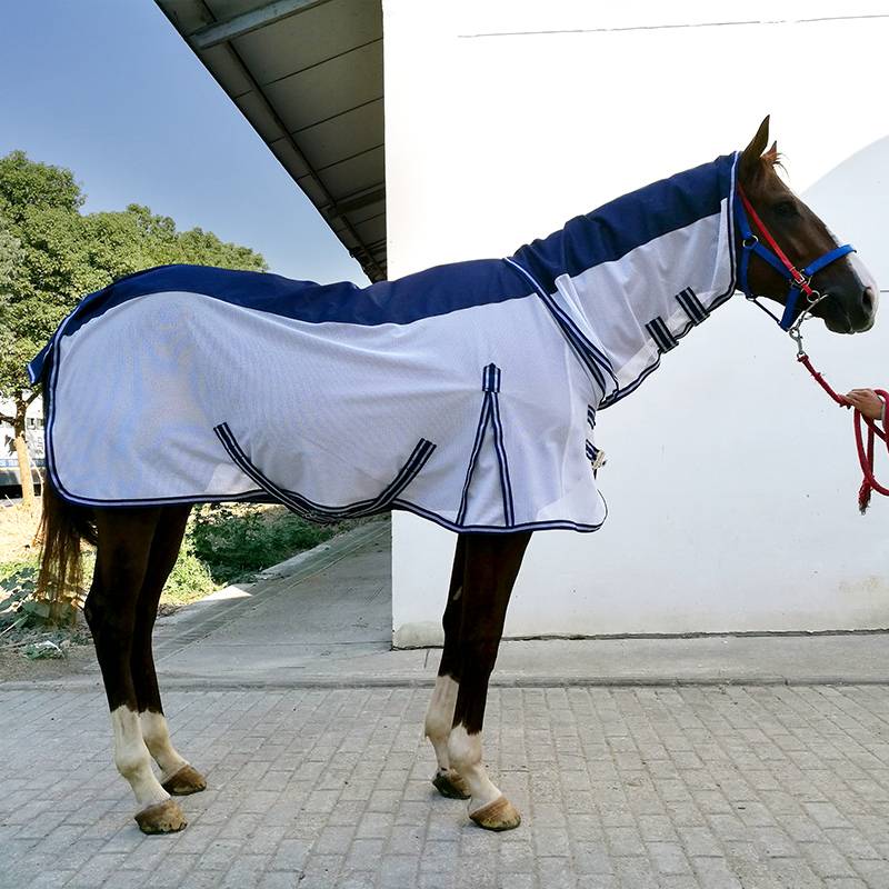 Spring and Autumn Mosquito Horse Horse Flying Fighting Horse Bad Horse Worm Reepecular Horse Horse Horse Equestrian BCL339549
