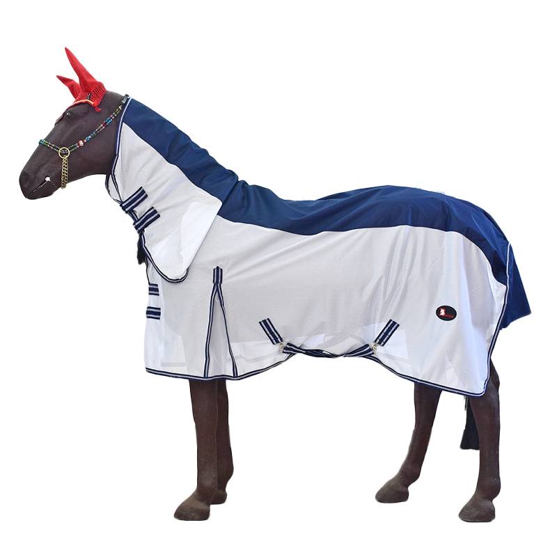 Spring and Autumn Mosquito Horse Horse Flying Fighting Horse Bad Horse Worm Reepecular Horse Horse Horse Equestrian BCL339549