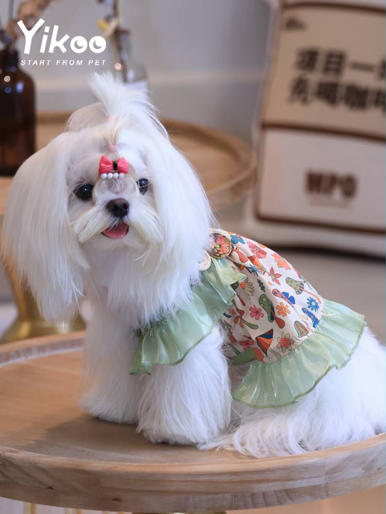 Yikoo original design pet clothes dog cat mushroom dress Malzis Yorksiabi teddy