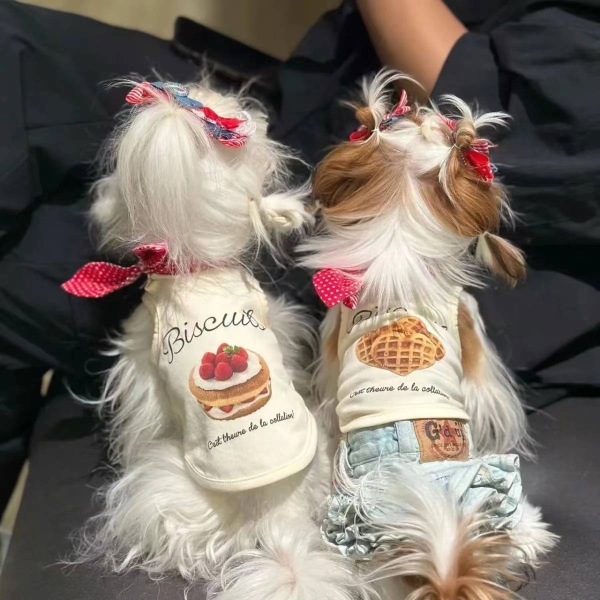 Dog clothing York summer pet Malzis vest bear teddy denim cats summer thin spring and summer