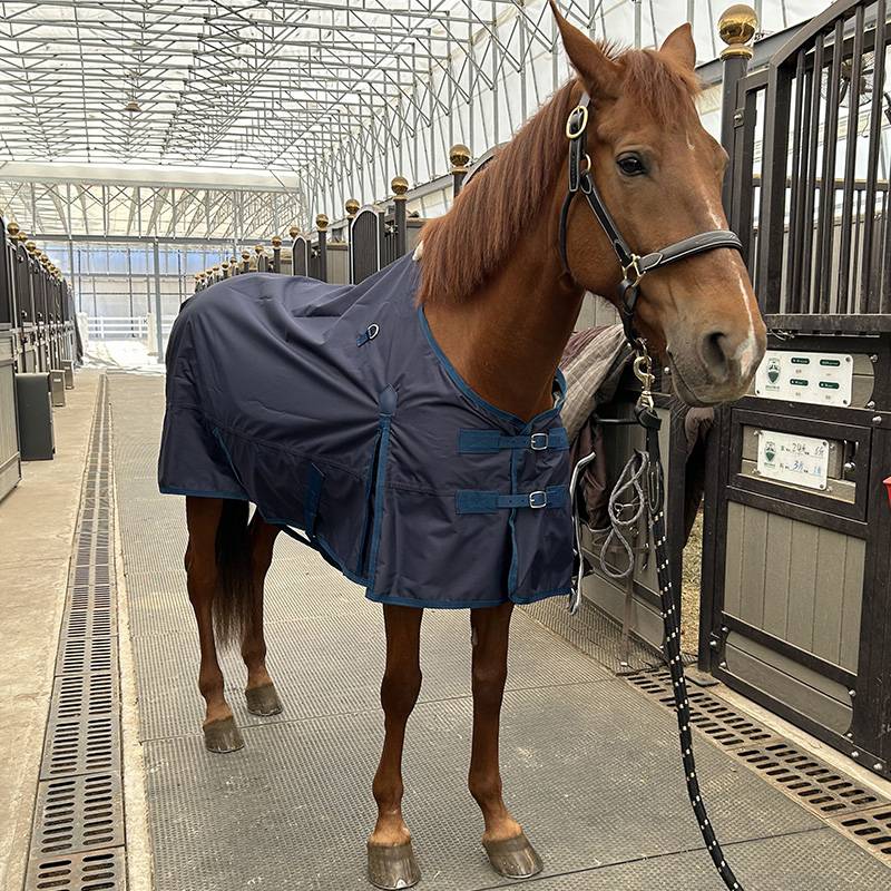 EPONA single -layer waterproof horsepower breathable and comfortable horse uses clothes spring and summer horses horses puppets