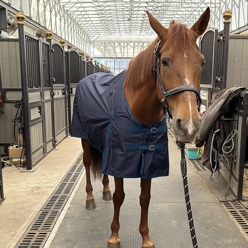 EPONA single -layer waterproof horsepower breathable and comfortable horse uses clothes spring and summer horses horses puppets
