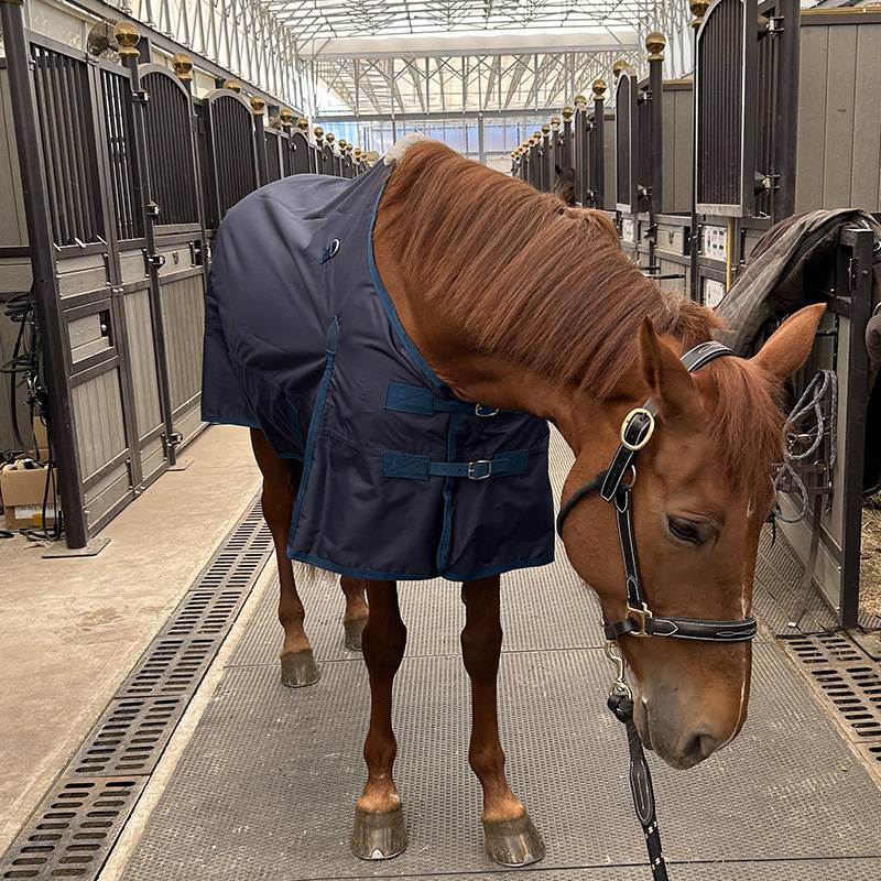EPONA single -layer waterproof horsepower breathable and comfortable horse uses clothes spring and summer horses horses puppets