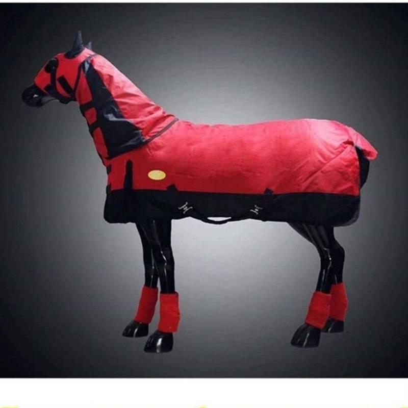 Special -off horses in winter thickened warmth, cold, cold and horses, horse horses, horses, horses, cold and warm new models