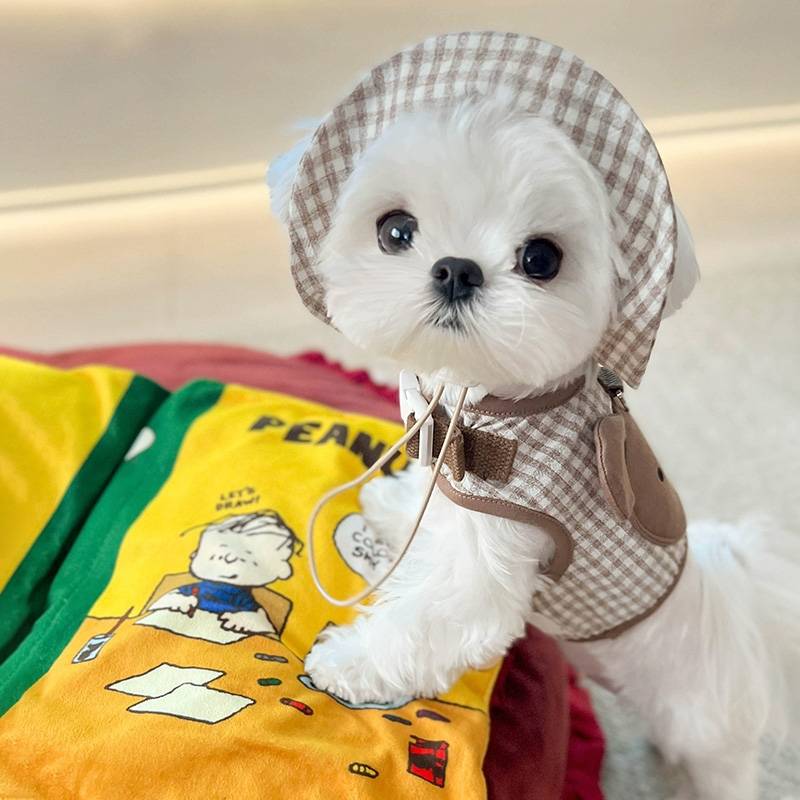 Dog clothes -style traction rope Yorkson Malzis special back chest and summer summer thin air -breathable small body dog