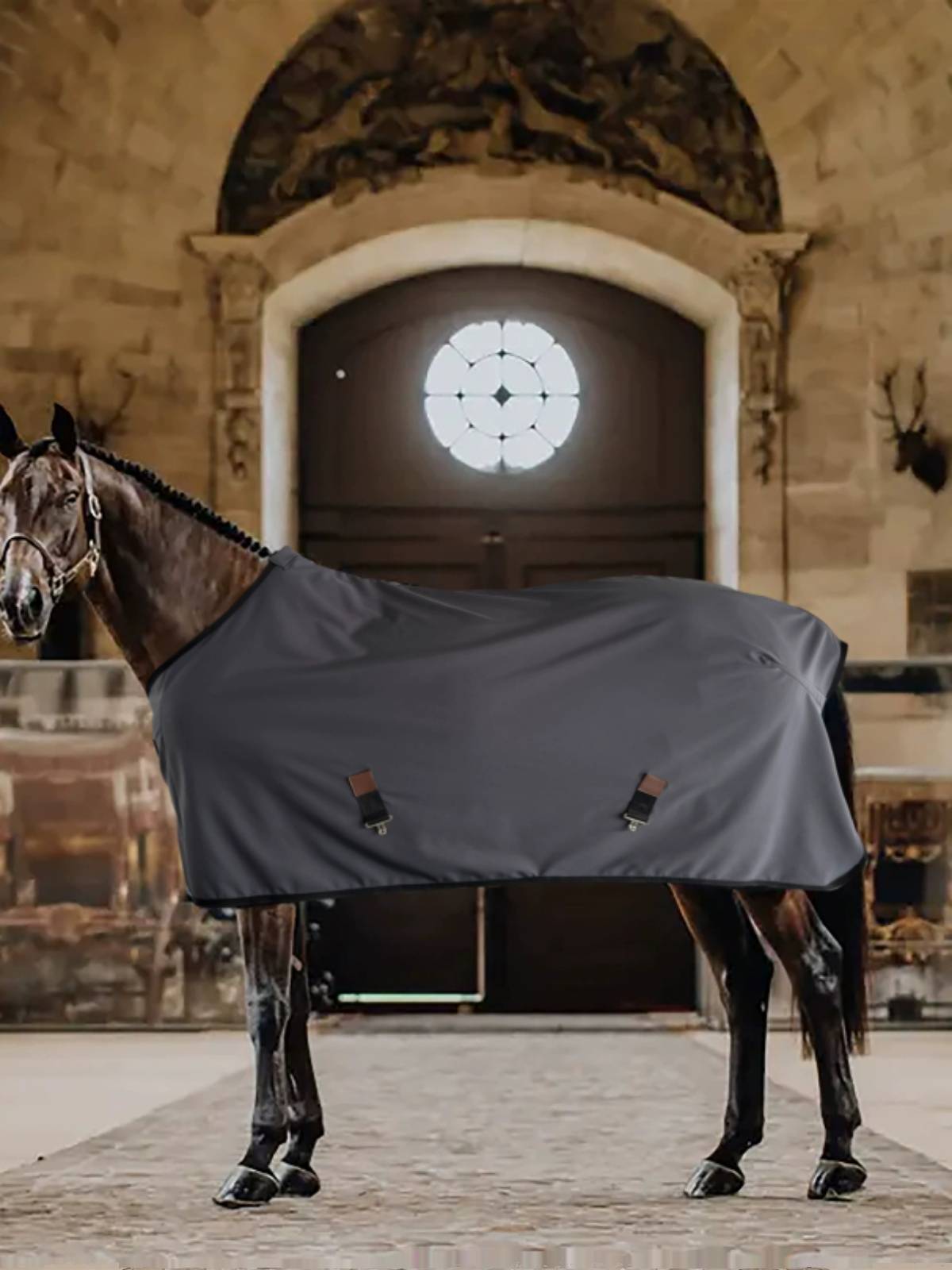 EQUILUX autumn and winter high -end horses horses horses horses and light outdoor horses, dustproof and pollution -proof lightweight lightweight