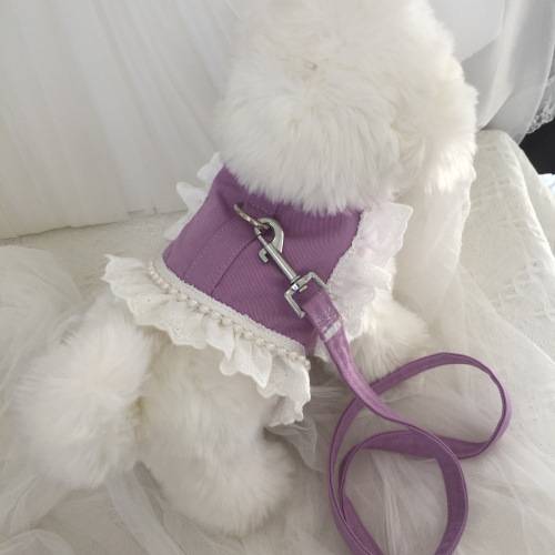 Puppy clothes with traction rope Summer super small dog Yorkson Malzis little deer dog 1 catties bi bear