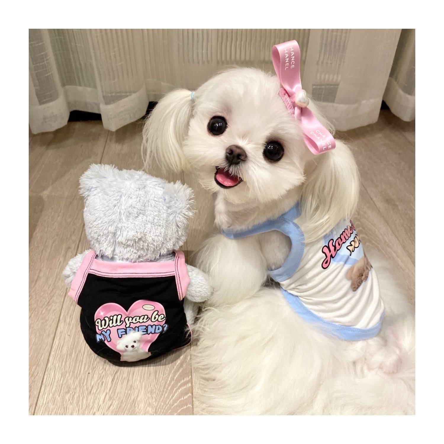 American retro hot girl puppy puppy in summer vest Malzis Biedi Tediger York pet dog clothes