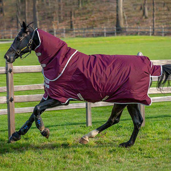 Horseware-Amigohero ACY PLUS Horse 200G/100G Rockma Horse 8219028/32
