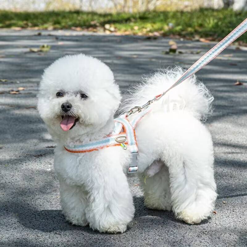 Fresh summer breathable dog traction rope Small and medium -sized dog teddy Bieki Corki can adjust the saddle -type chest strap